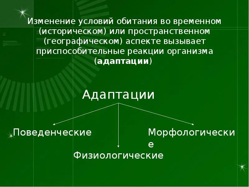 Изменение условий обитания. Экологические адаптации примеры. Группы адаптаций биология экологическая. Общая экология. Группы экологической адаптации