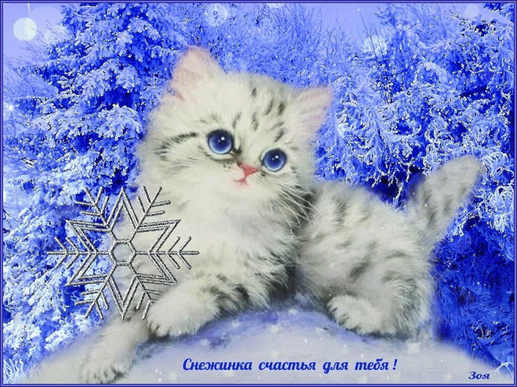 Снежок добра. Открытка зимняя. Открытки с зимой красивые. Доброго снежного дня. Котята зимой.