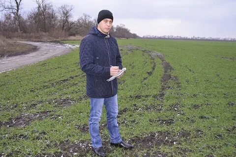 Погода рябовский волгоградская