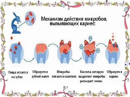 Бактерии кариеса
