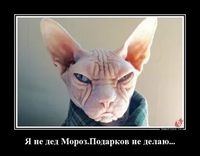 Предъява