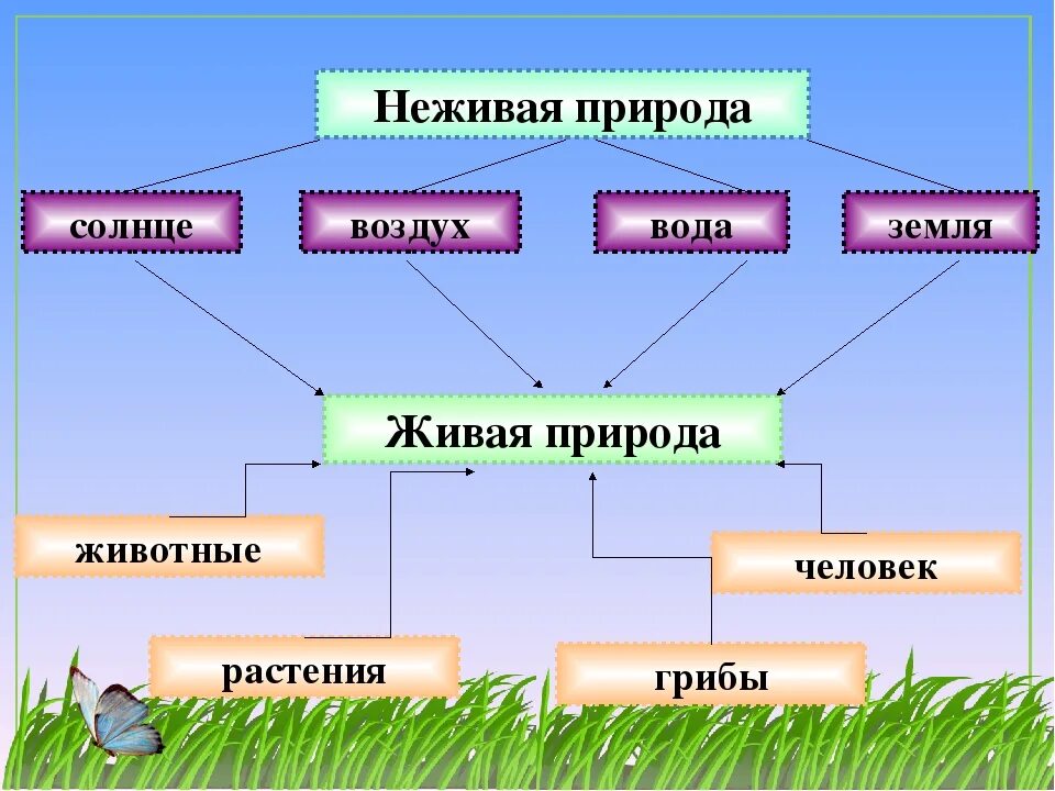 Связь живой и неживой природы 2 класс. Схема живой и неживой природы 2 класс окружающий мир. Связь живой и неживой природы 2 класс окружающий мир. Схема связи живой и неживой природы 2 класс окружающий.