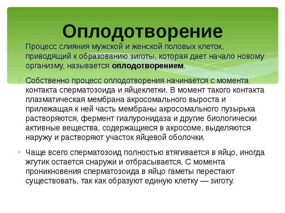 Какой процесс называют оплодотворением 6 класс