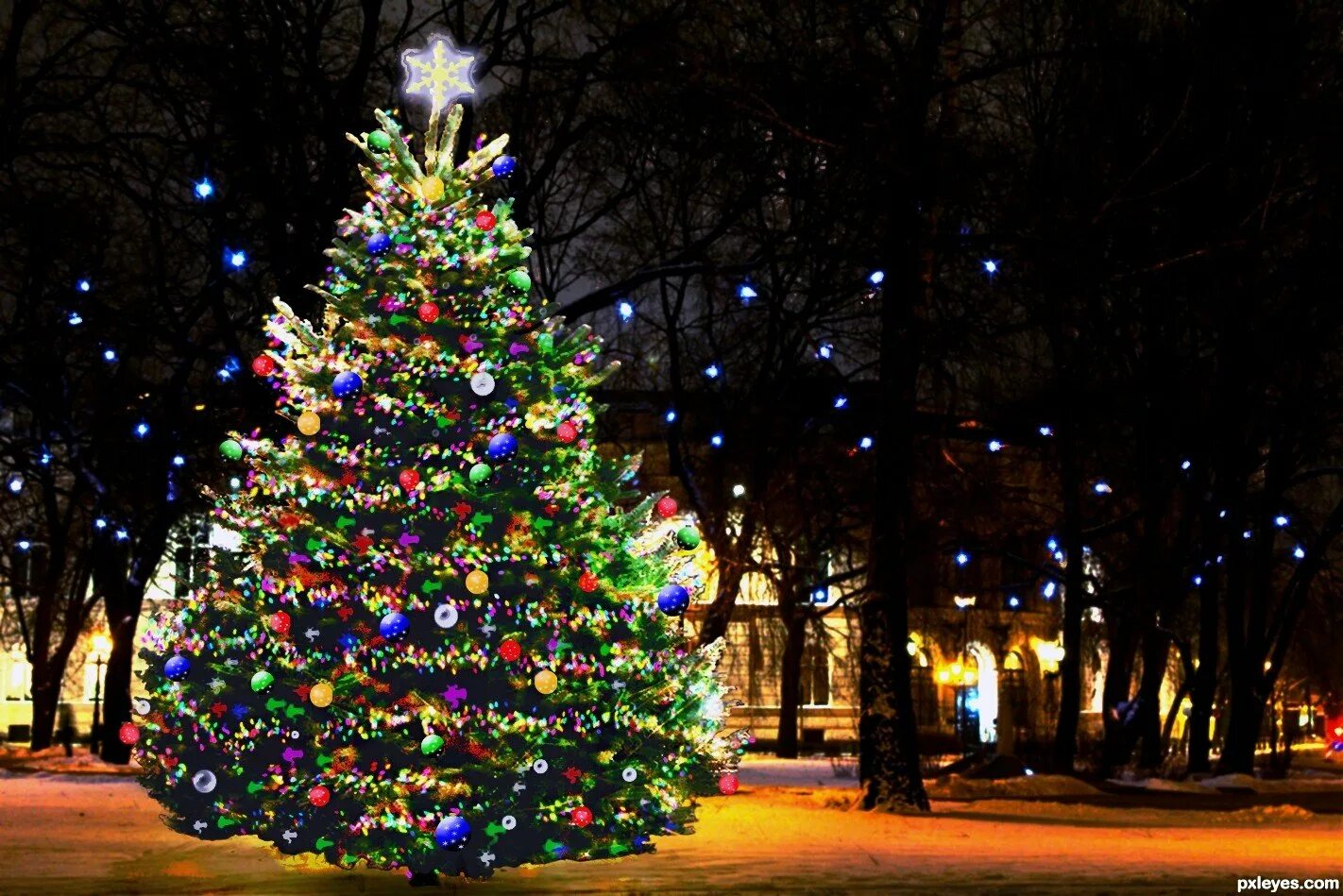 Красивая новогодняя елка на улице. Classic christmas tree ель хэмстед 2. Рождественская елка. Нарядная елка. Наряжаем елку.