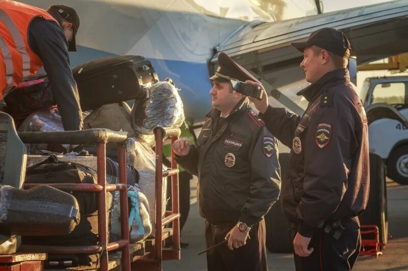 Органы внутренних дел 2016. Транспортная полиция. Органы внутренних дел на транспорте. ОВД на воздушном транспорте. Сотрудники ОВД на транспорте.