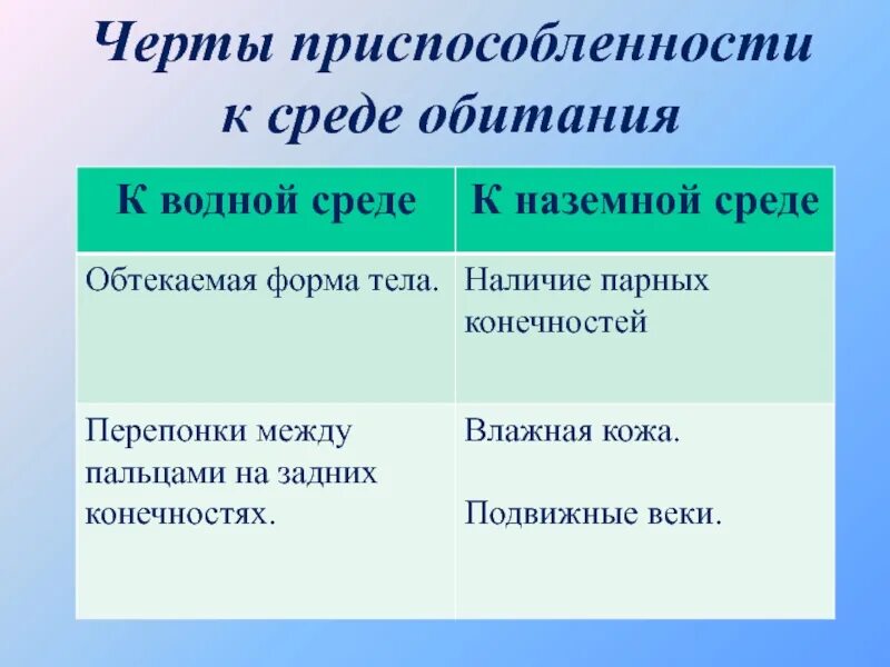 Черты приспособленности к среде обитания кактус таблица