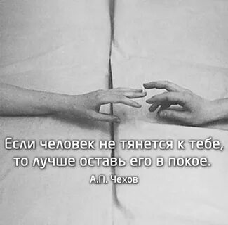 Оставь если любишь 2024