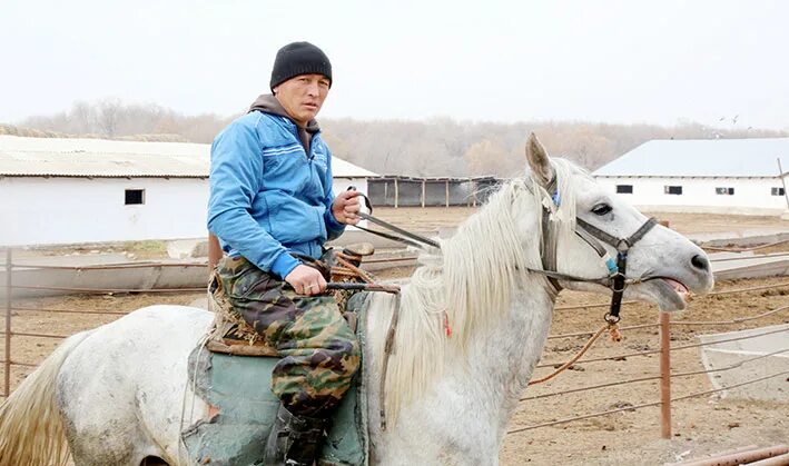 Почта спк. Почта спк