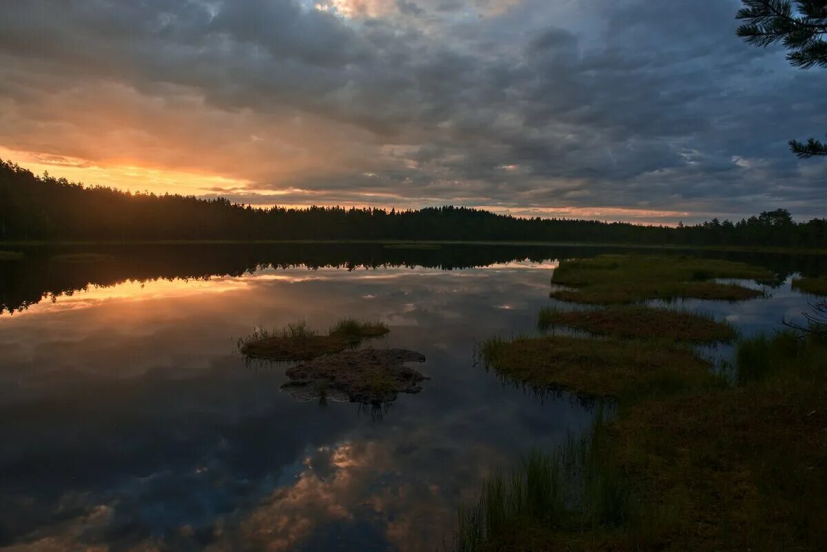 озера 2 сестры. озера 2 сестры. заказник болото ламмин-суо. болото карелии. озеро комсомольское приозерский район фото.