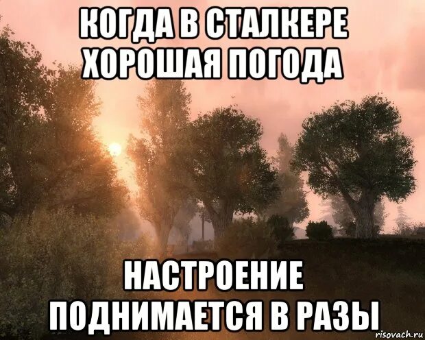 Как называется когда резко меняется настроение. Доброе утро сталкер. настроение поднялось. картинки поднимается настроение. погода и настроение.