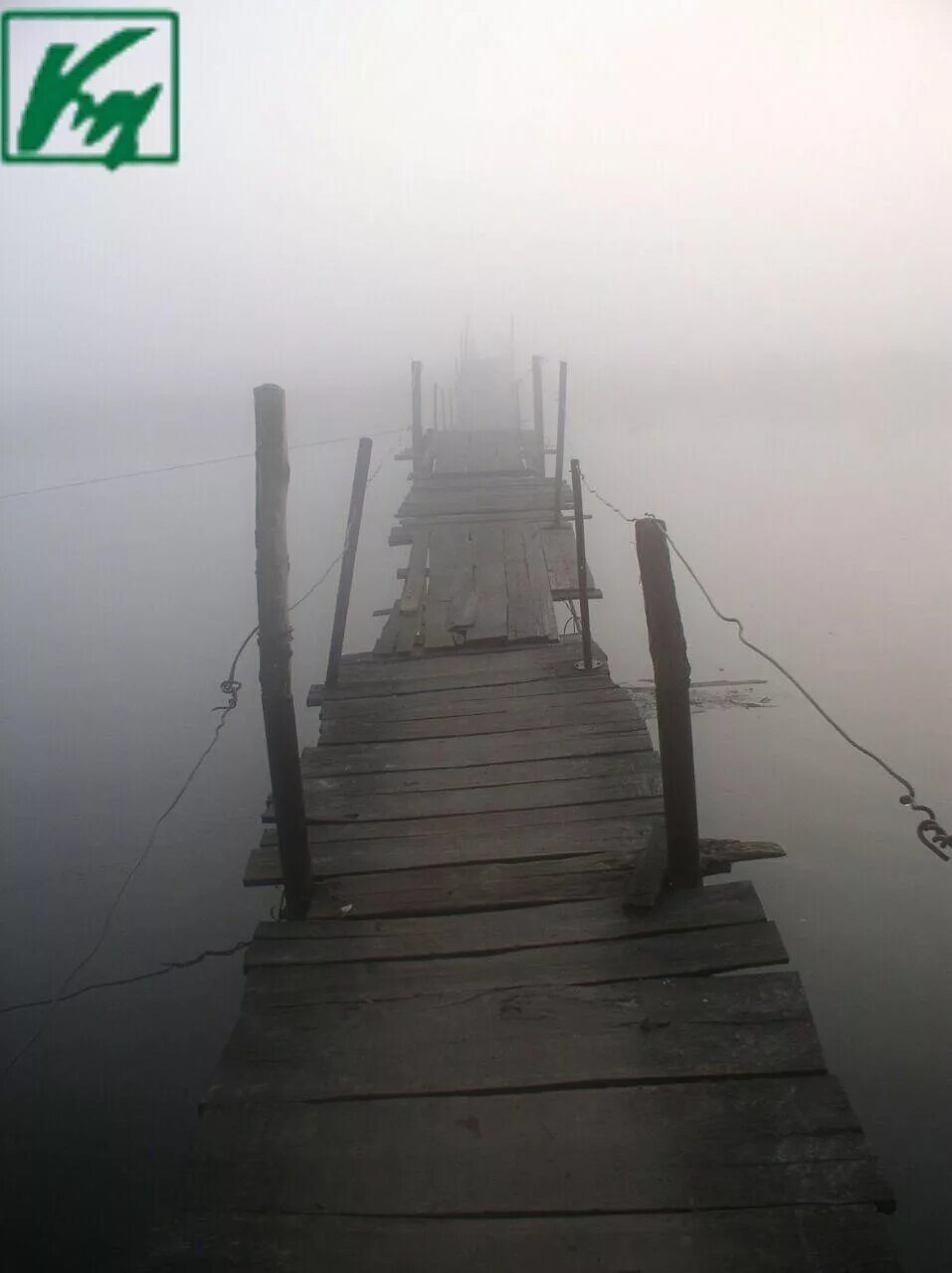 Мост в никуда. Мост в тумане. Деревянный мост в тумане. Подвесной мостик в тумане.
