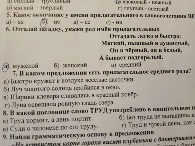 В каком предложении есть прилагательное. Окно какой прилагательные. в каком предложении есть прилагательного среднего рода. луч золотого солнца какой род прилагательного. на ветвистом корне гороха висят клубеньки с бактериями..