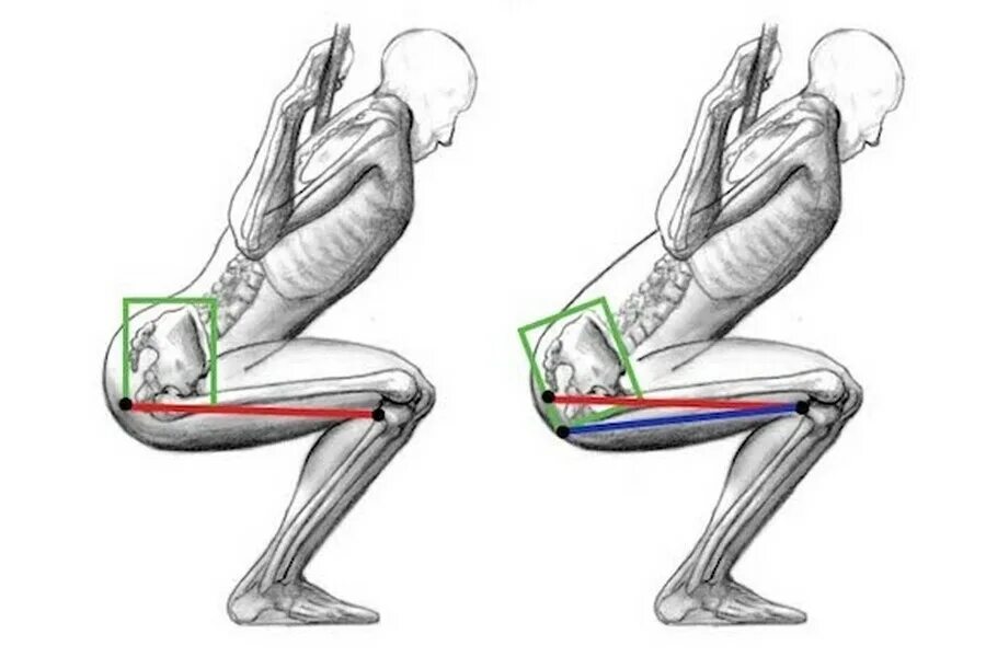 Боль в пояснице после тренировки. Присед биомеханика. Биомеханика приседания со штангой. Приседание биомеханика упражнения. Неправильная техника выполнения упражнений.