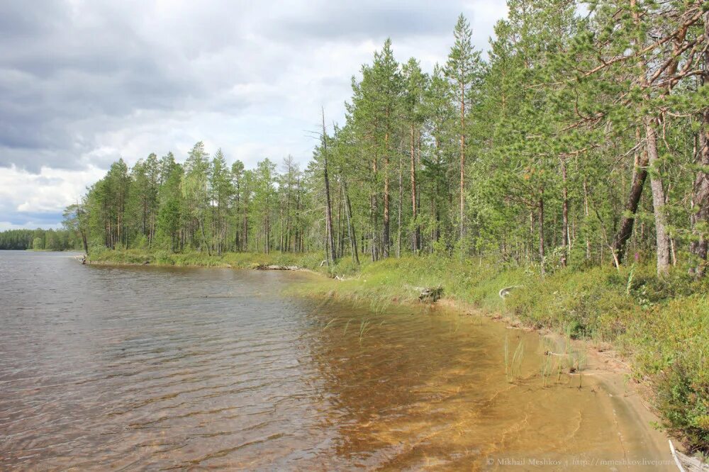 карта карелии посёлок тунгозеро. пяозеро карелия поселок. погода в пяозерске карелия. михаил кацер пяозерский. погода в пяозерске карелия.
