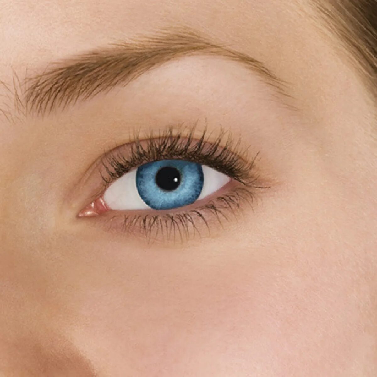 Freshlook dimensions. Freshlook caribbean aqua. фрешлук дименшенс карибиан аква. freshlook dimensions caribbean aqua. линзы freshlook dimensions.