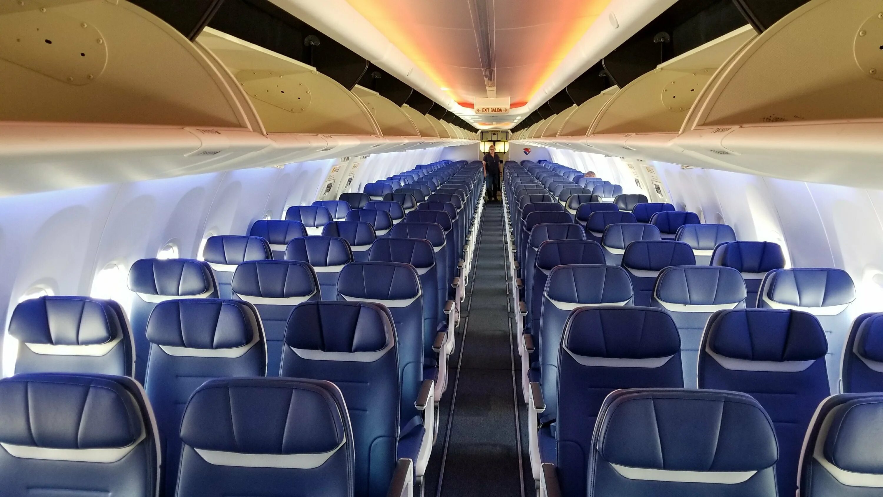 Боинг 737 Макс 8 салон. Боинг 737 Max салон. Салон самолета Боинг 737. 737 Max 8 салон