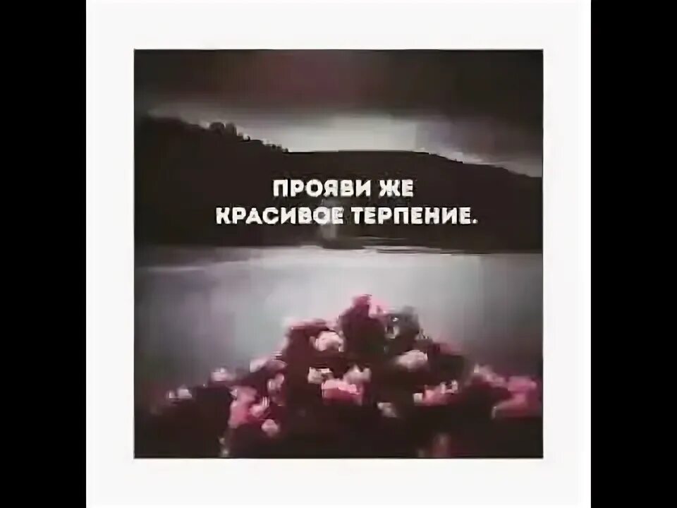 Вид терпение. Прояви же красивое терпение Коран. Проявите же красивое терпение. Прояви красивое терпение аят. Цитата прояви же красивое терпение.