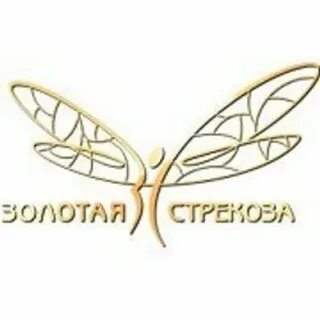 Золотая стрекоза интернет