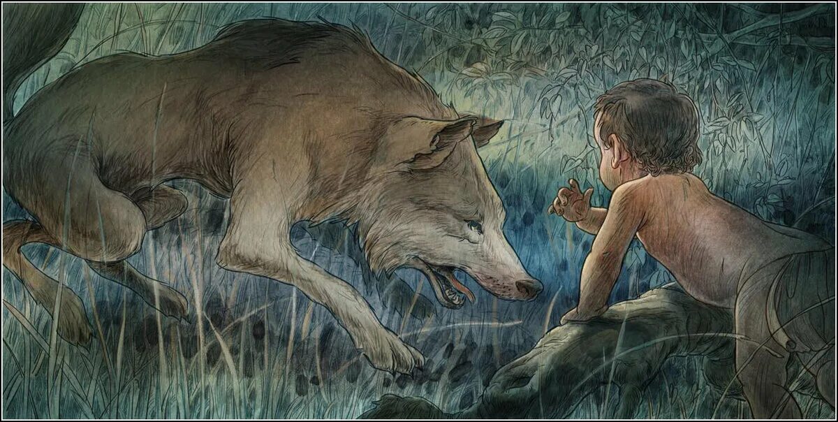 аниме парень волк. маугли ракша волчица. серый волк и мальчик. аниме парни оборотни. серый волк и мальчик.