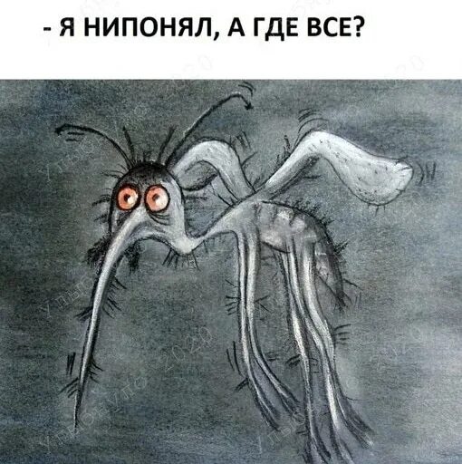 Комар ночью спать. Скоро комары. смешной комар. комар мем.