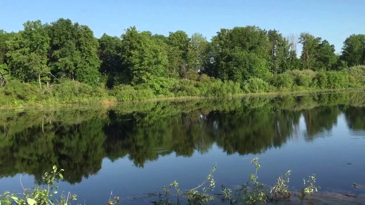 Блохинский пруд Саранск. Блохино Мордовия пруд. Блохино Пензенская область Бессоновский район. Лесное озеро Пенза. Озеро у деревни реальная