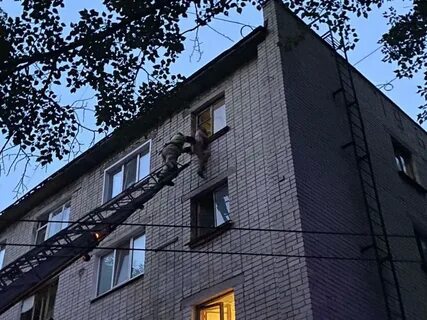 Вечерняя 29