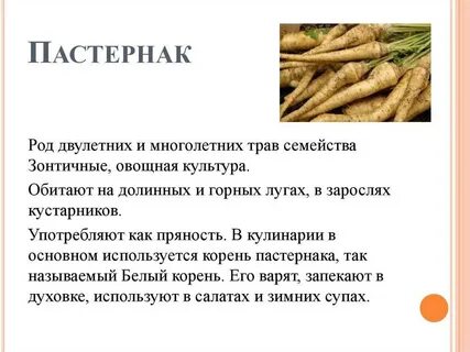 Пастернак на что похож
