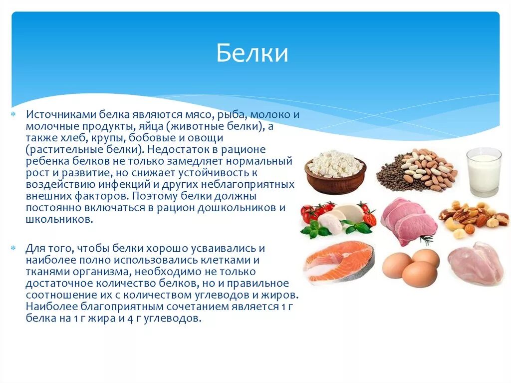 В каких продуктах есть мясо. Белки продукты. Питание белки. Белковая еда для детей. Белки в рационе.