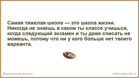 Знай в этой жизни никогда не