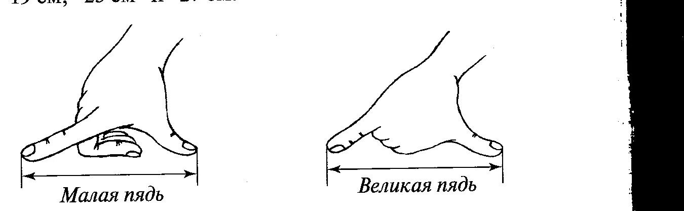 Великая пядь. Старинные единицы измерения длины пядь. Малая пядь. Малая пядь мера длины. Пядь единица измерения.