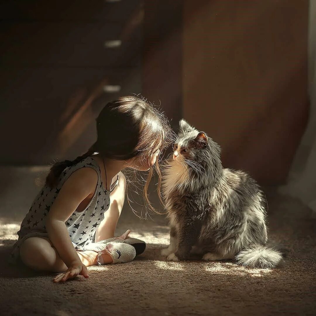 Жить с кошкой девушке. Девушка с котом. Силуэт девушки с кошкой. Девушка с котенком. Жить с кошкой девушке.