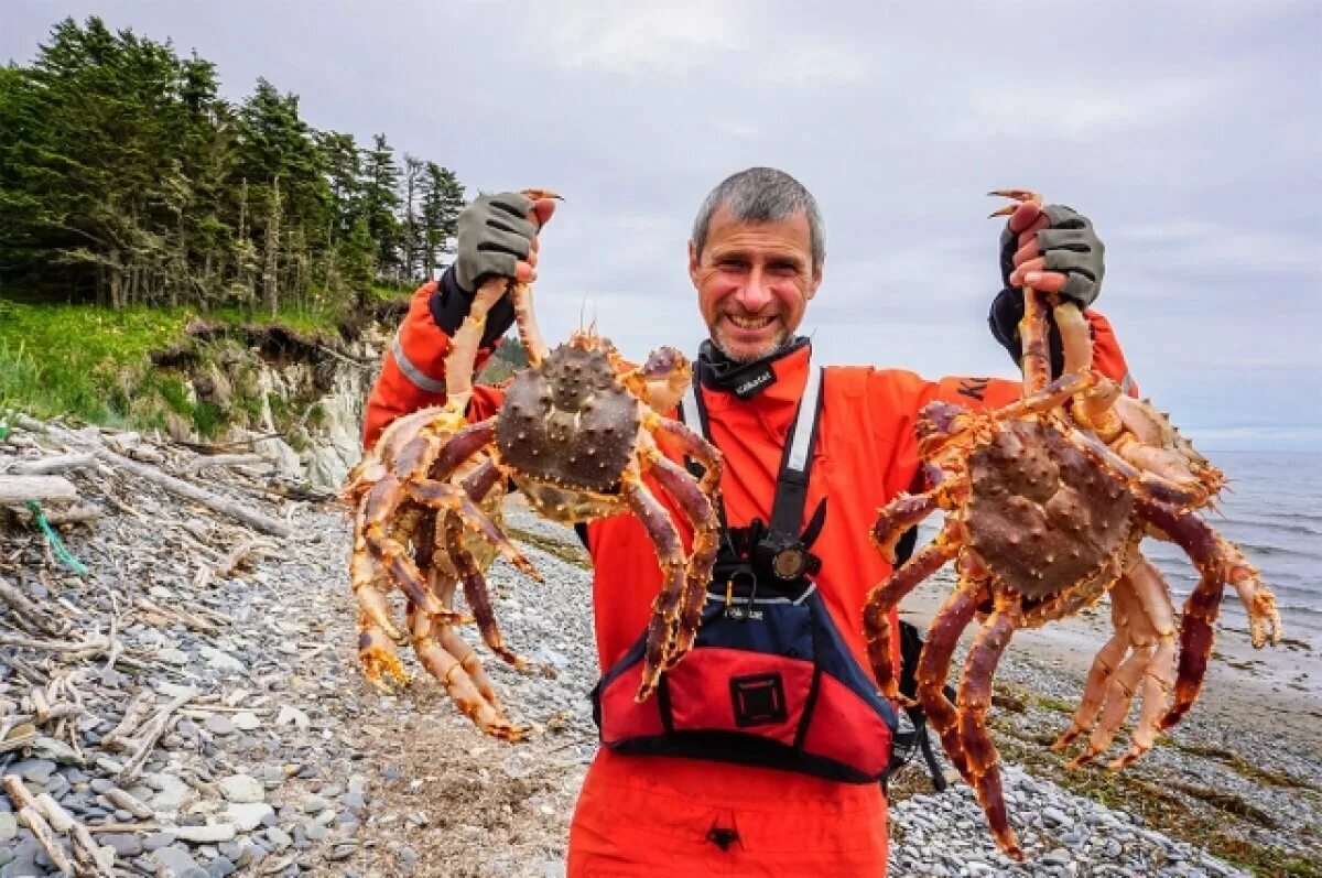 Краб приморский. Южно Сахалинск Камчатский краб. Аляскинский Камчатский краб. Омар Дальневосточный. Камчатский ШИПАСТЫЙ краб.