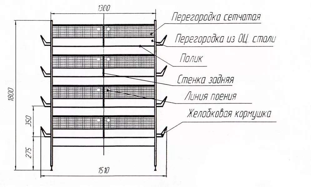 Чертеж клетки для кур. Клетка для перепелов чертеж с размерами трехъярусная. Чертеж многоярусной клетки для перепелов. Чертежи клеток для бройлеров на 30 голов. Клетка для перепелов Размеры чертеж.