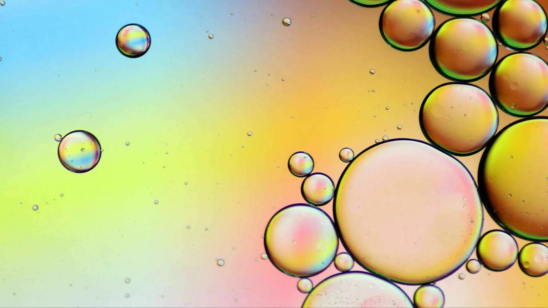 Мыльные пузыри. Заставка пузыри. Разноцветные пузыри. Абстракция пузыри. Виниловые обои пузырями