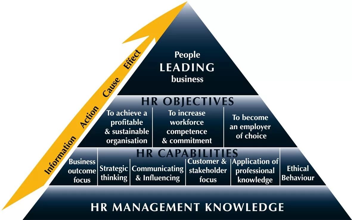 HR управление персоналом. HR менеджмент. Human resources Management. Менеджмент управление персоналом.