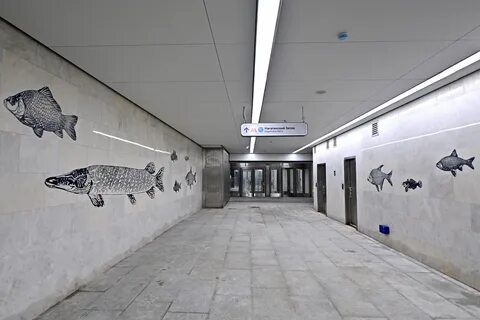 Станция нагатинский затон рыбы