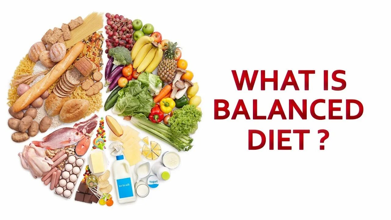 Nutritional balance. Balanced diet. what is the balanced diet. balanced nutrition. balanced diet definition.