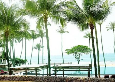 Aroma beach