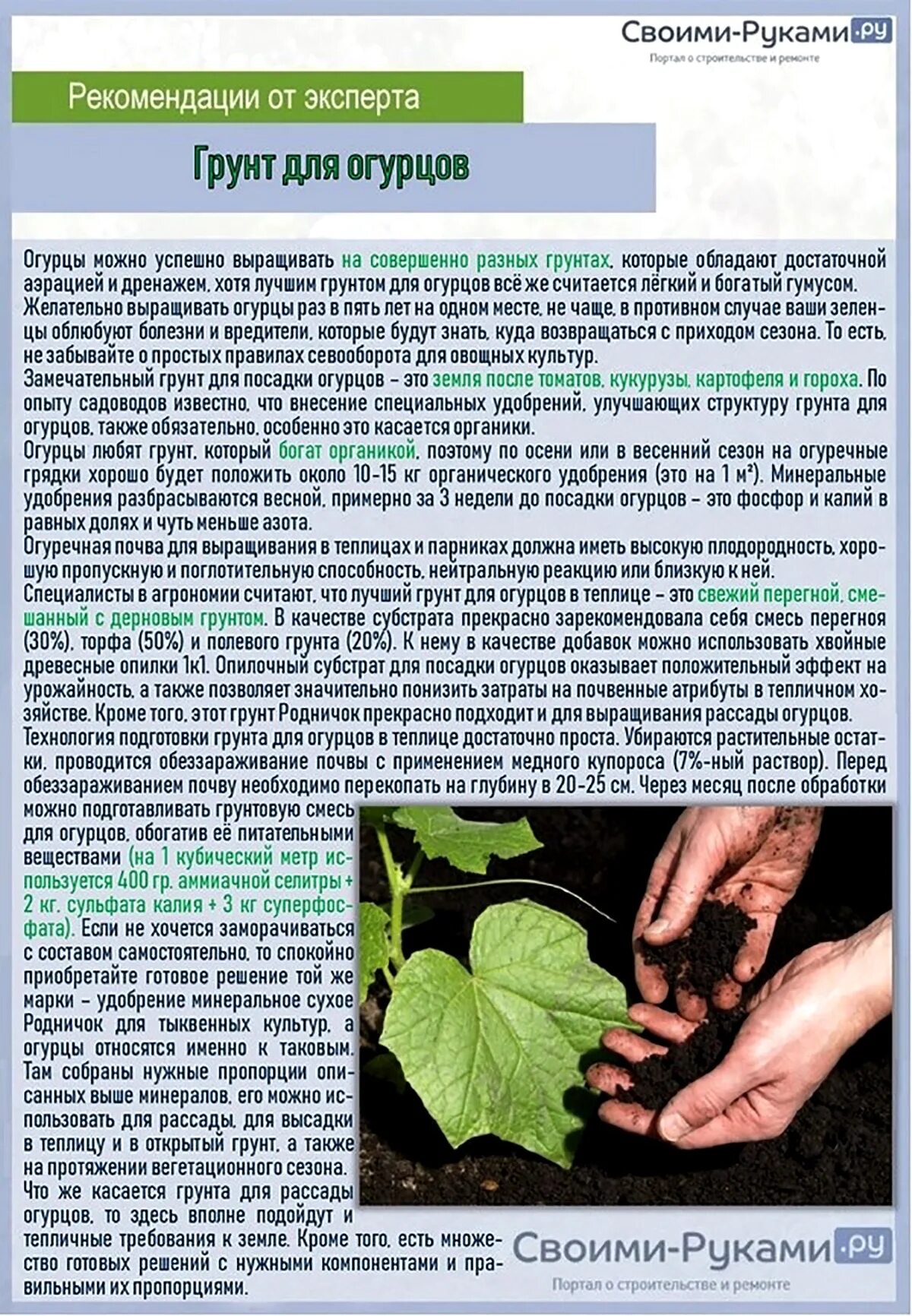 Посадка огурцов чем удобрить. Огурцов в открытый грунт. Схема подкормки огурцов. Почва для огурцов в теплице. Почва для посадки огурцов.