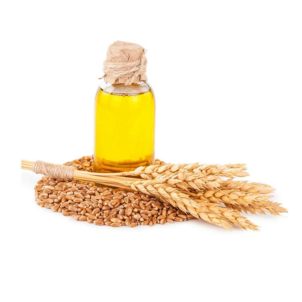 масло ростков зародыша пшеницы. олеос косметическое масло зародышей пшеницы 30 мл. масло пророщенной пшеницы. масло пшеницы. масло ростков зародыша пшеницы.
