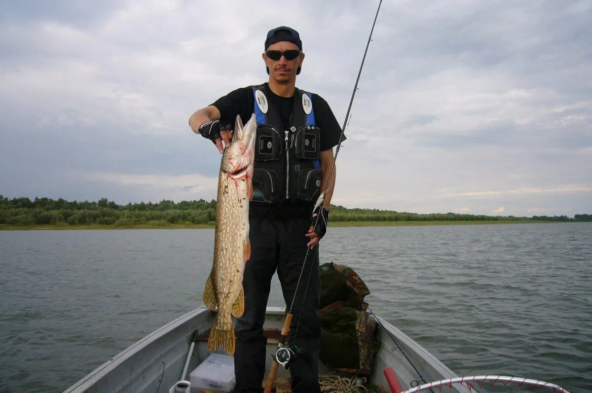 Село зеленга астраханская область. Зараженный окунь в астрахани. Зеленга астраханская область. Село зеленга астраханская область церковь. Астрахань село зеленга.