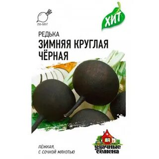 Где круглая зима