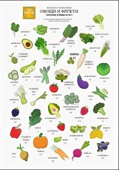 Овощи на английском. Овощи названия. Овощи. Пекс фрукты. Плакат овощи и фрукты.