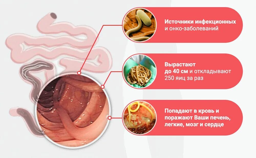 Признаки червей в организме человека. Гельмитон препарат от паразитов. Черви в организме человека. Паразиты в организме человека симптомы.