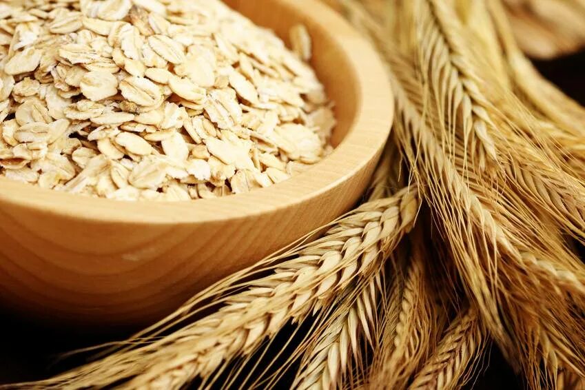 Овес продукция. Крупа из голозерного овса. Овес продукция. Арпа ячмень. Овес продукты из овса.