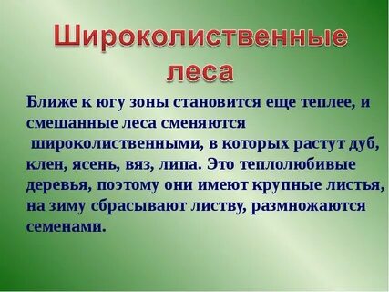 Реферат лесе