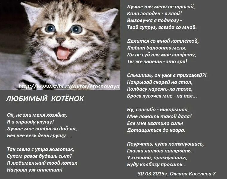 Детские песенки кошка. Стихи про котят. Стих про кошку. Стих про котяру. Стихотворение котята.