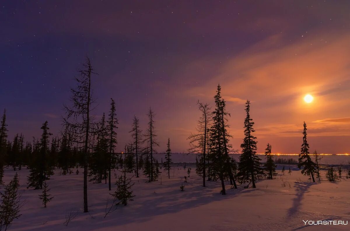 Полуостров ямал северное сияние. Северное сияние в тундре. Арктика северное сияние. Тундра ночью. Тундра ночью.