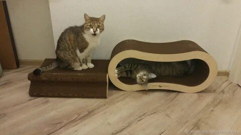Когтеточка из коробки своими руками