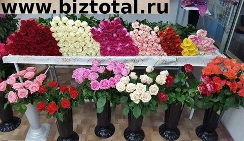 Цветы апшеронск